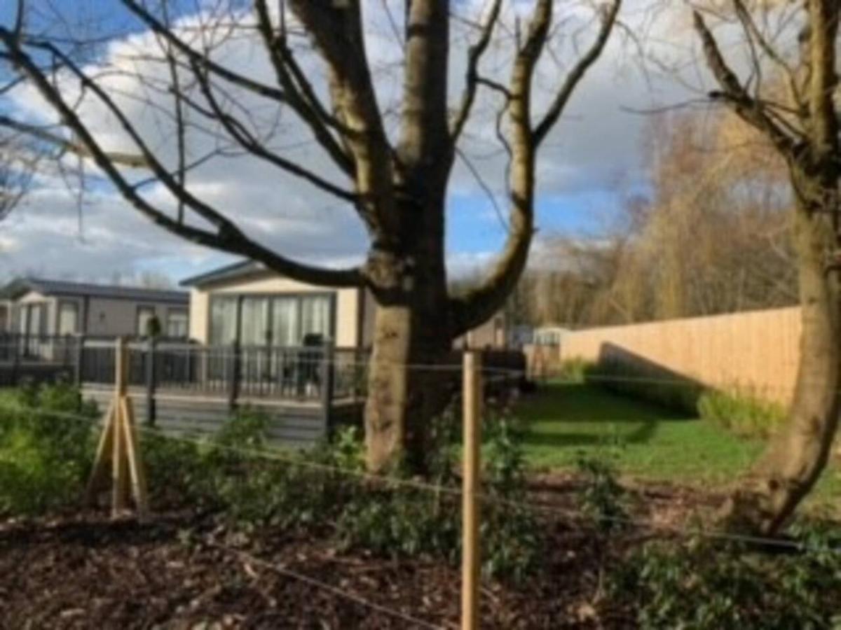 Captivating Bluebell Lodge 2-Bed Cotswolds Caravan Cirencester Kültér fotó